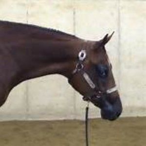 Meet your Posher, Georgia